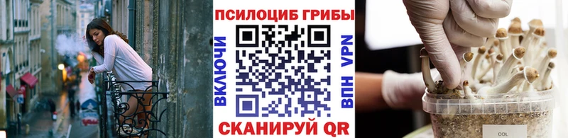 Псилоцибиновые грибы Psilocybe  Купить закладки  Саров 
